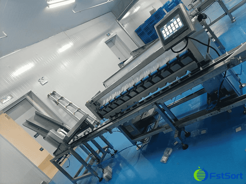 images/1745569925385blueberry packing machine.png